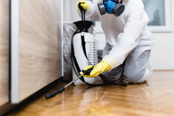 Best Affordable Pest Control Services  in Bedford Heights, OH