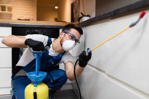 Best Wildlife Control Services  in Bedford Heights, OH