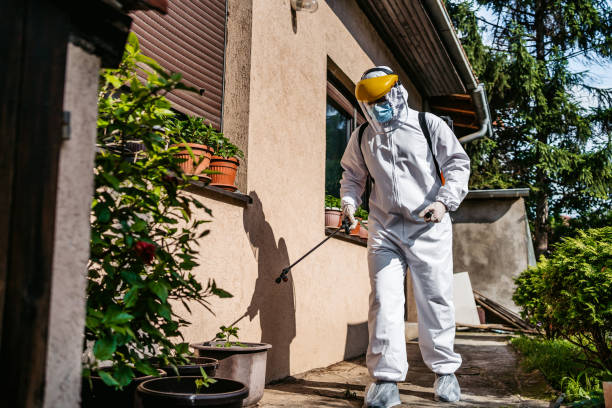Best Cockroach Control Services  in Bedford Heights, OH