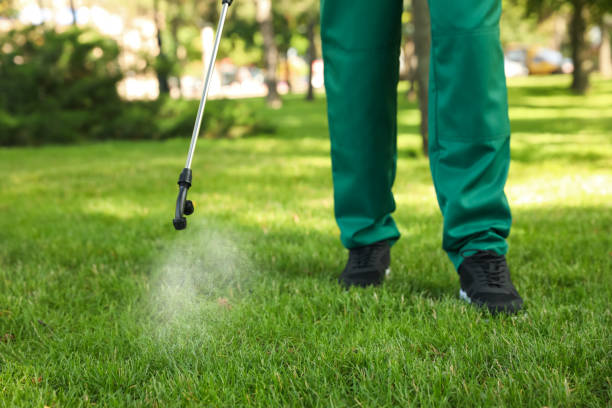 Best Local Pest Control Services  in Bedford Heights, OH