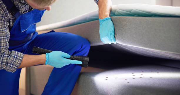Best Pest Control Cost  in Bedford Heights, OH