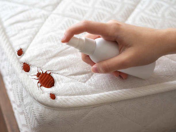 Best Emergency Pest Control  in Bedford Heights, OH