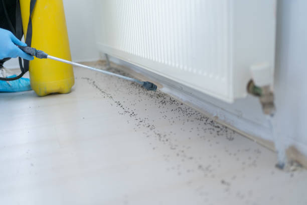 Best Exterminator Services  in Bedford Heights, OH