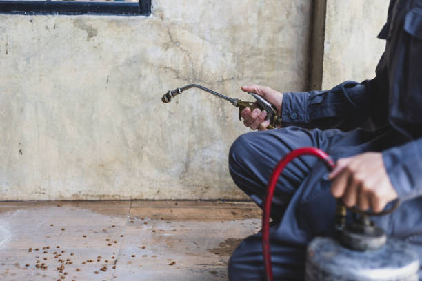 Pest Control Cost in Bedford Heights, OH